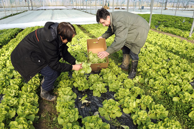 Нико не жели да купи ПКБ